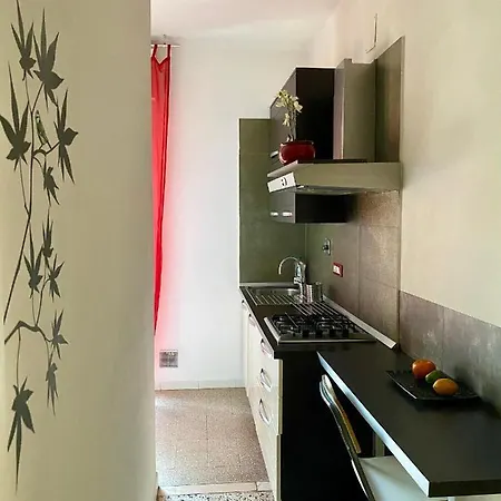 Zerbini Boloňa