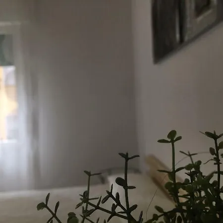 Zerbini Panzió Bologna